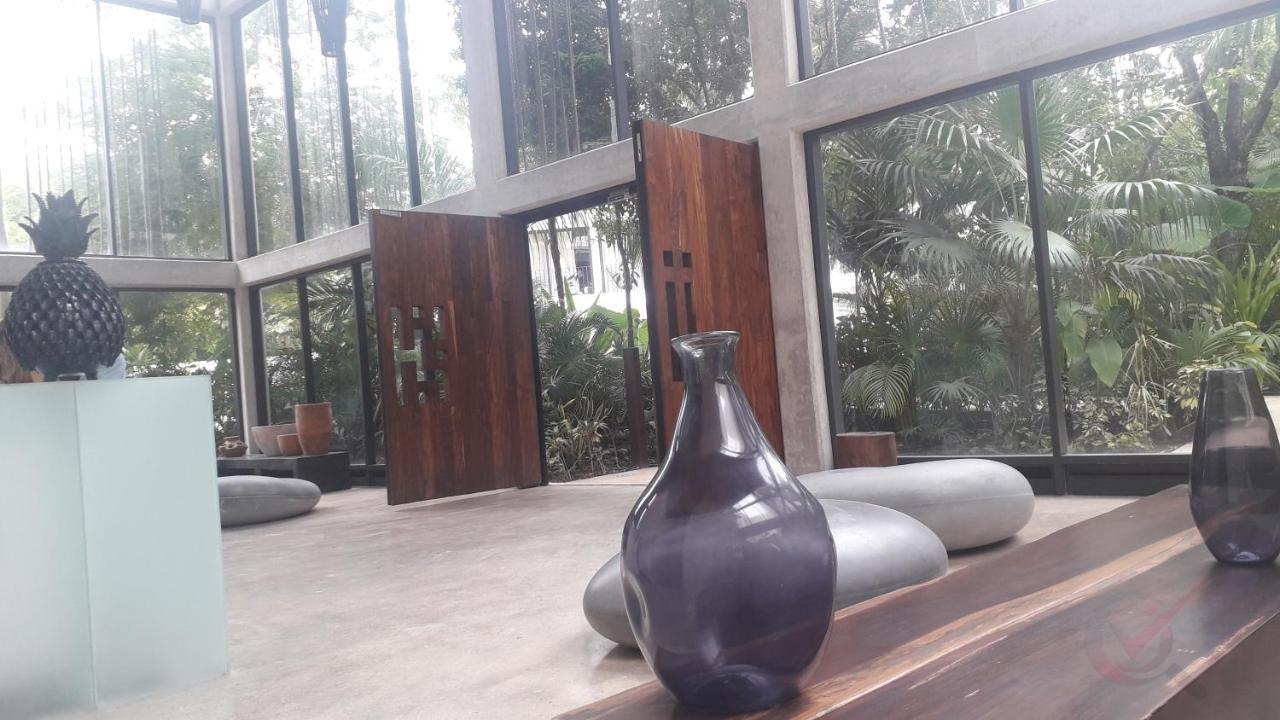 New Luxury Suite Con Plunge Pool Privado トゥルム エクステリア 写真