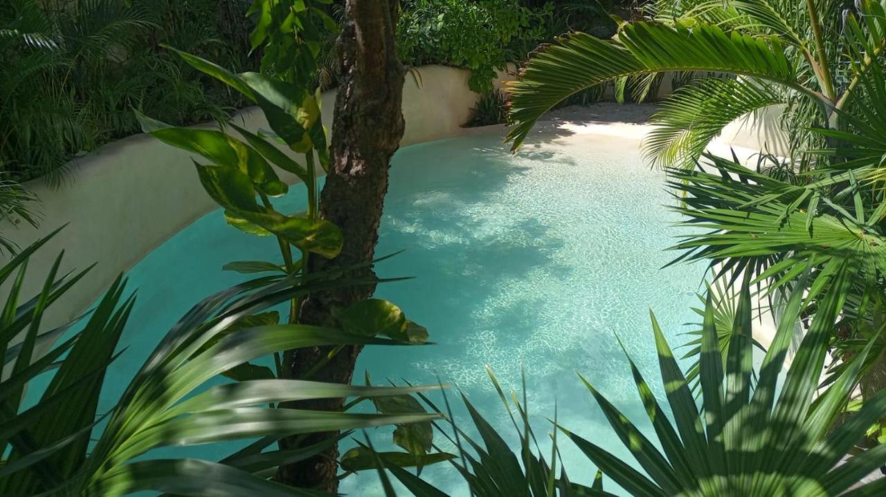 New Luxury Suite Con Plunge Pool Privado トゥルム エクステリア 写真